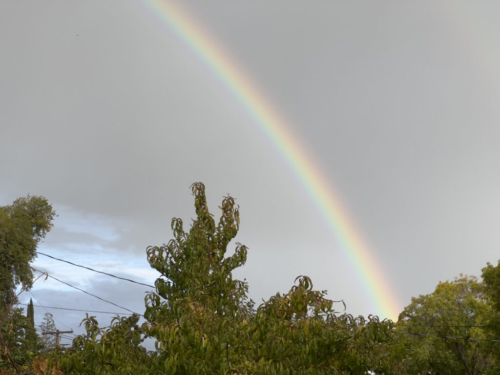 First good rain of the season left us a nice rainbow.