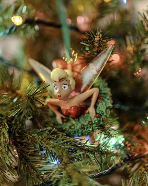 Tinkerbell in the tree